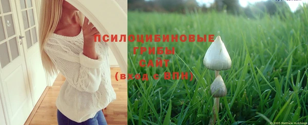 таблы Вязьма
