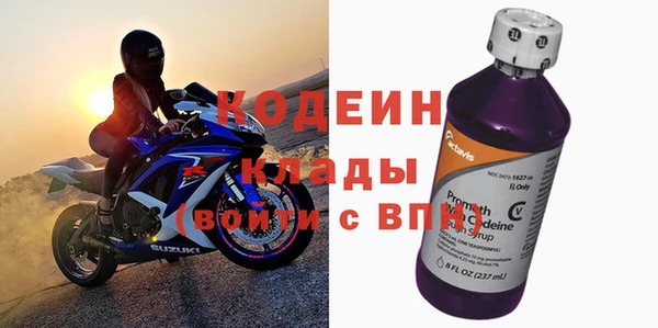 шишки Вяземский