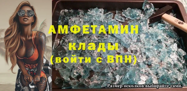 шишки Вяземский