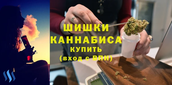 шишки Вяземский