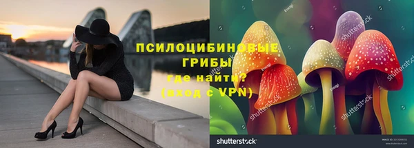 шишки Вяземский