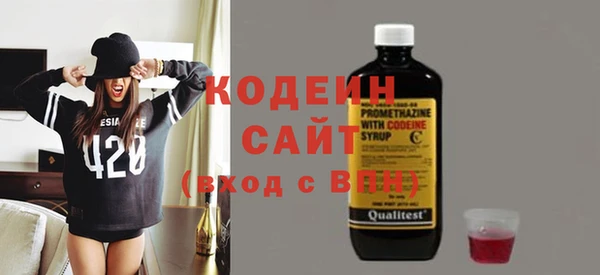 шишки Вяземский
