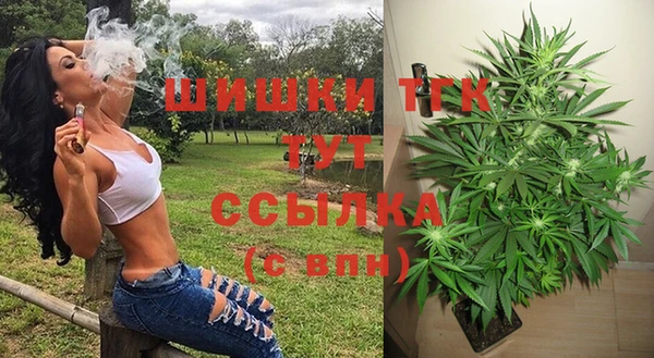 шишки Вяземский