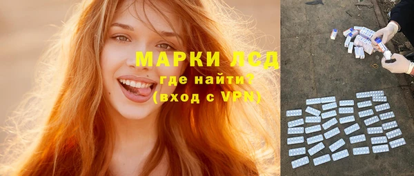 шишки Вяземский