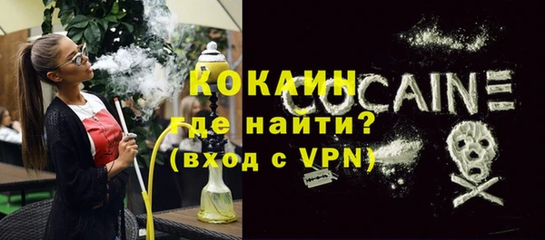 шишки Вяземский