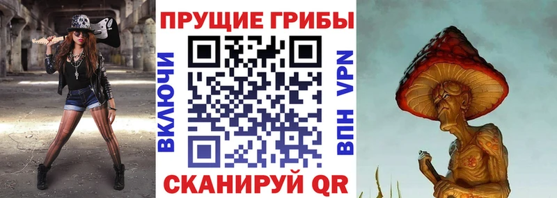 Купить закладки  Велиж  Галлюциногенные грибы Cubensis 